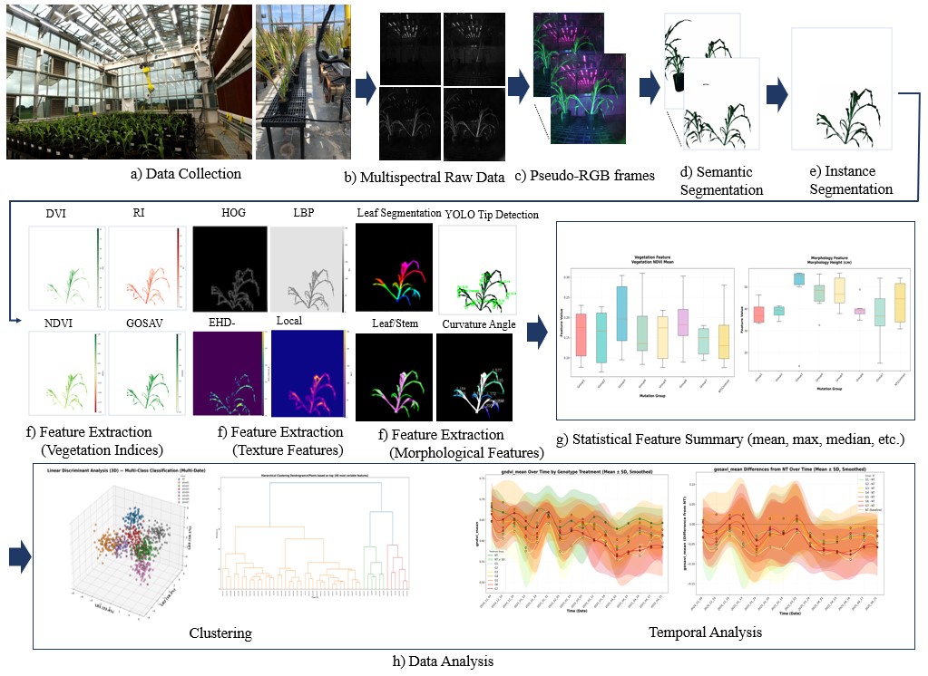 Plant Phenotyping Pipeline